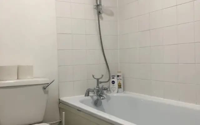 Spacious Flat in King's Cross