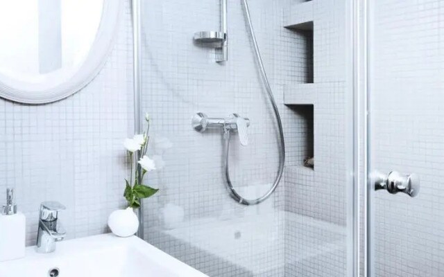 Luxury Flat in Le Marais