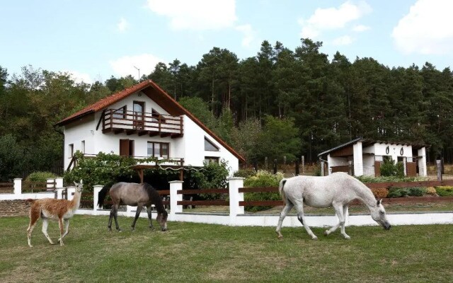 Na Samotě Ve Srubu