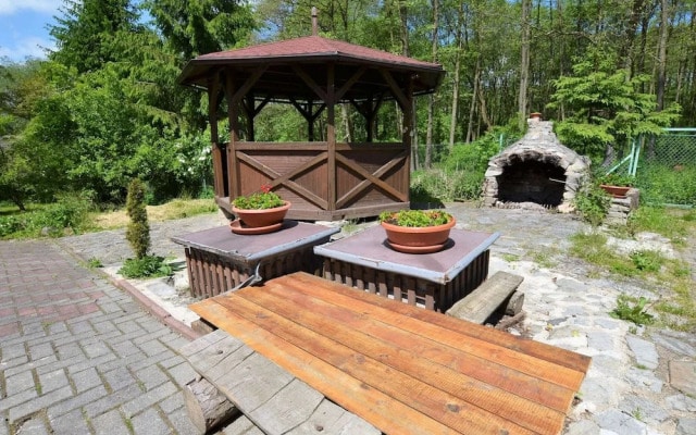 Idyllic Villa With Private Pool in Trebusin Czech Republic