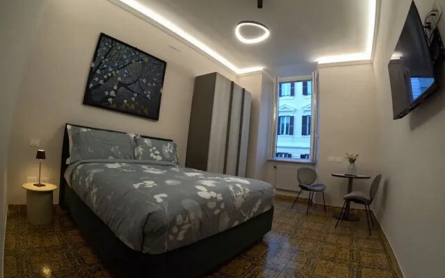 Suite 41