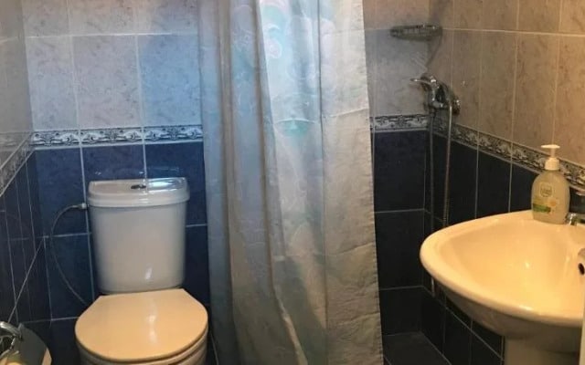 Guest House U Trekh Roz