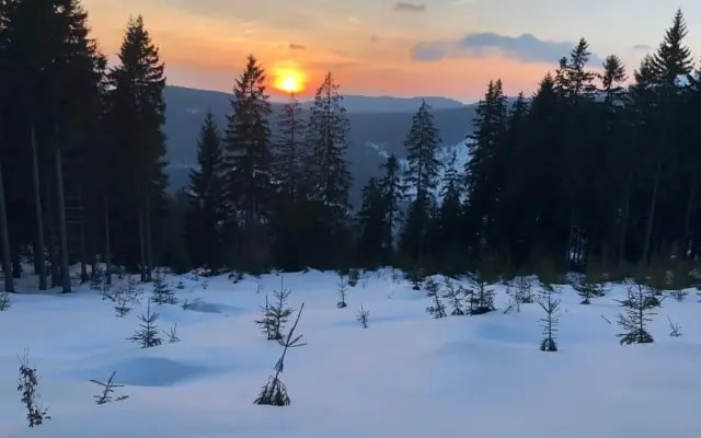 Hromovka