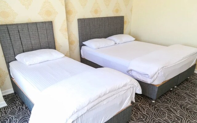 Ercin Suite
