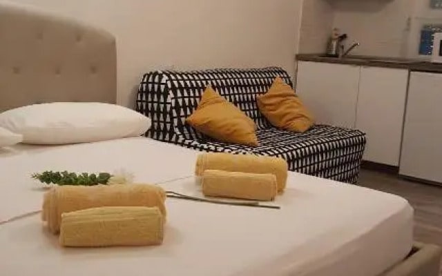 Superior Studio Flat - Vatican
