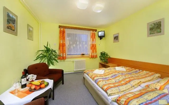 Hotel Stary Mlyn