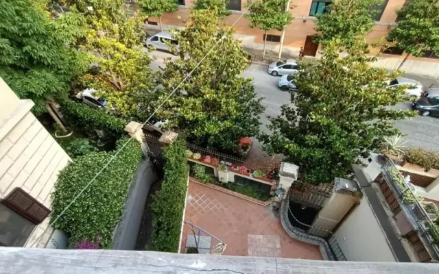 Colosseo Kokedama rooms