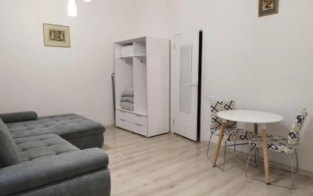 Gediminas Avenue Studio