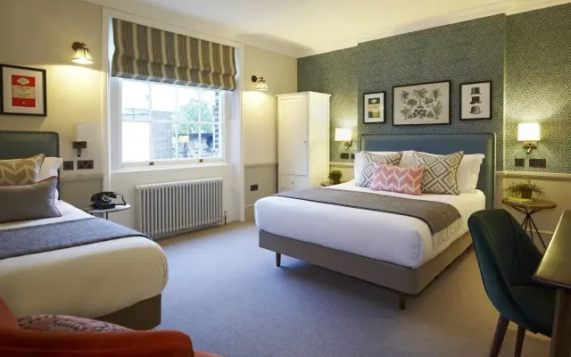 Room Mate Lime Tree