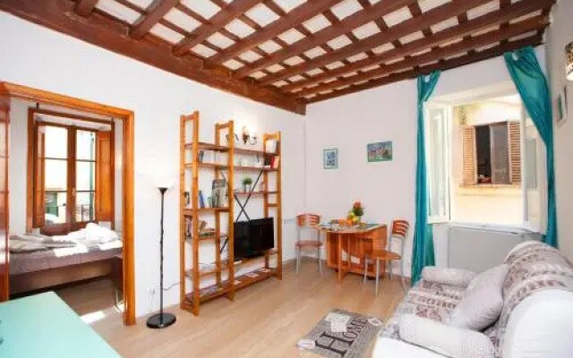 Boutique Domus Navona Librari
