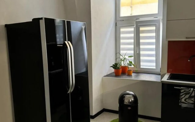 Apartman I Ubytovani v centru Jihlavy