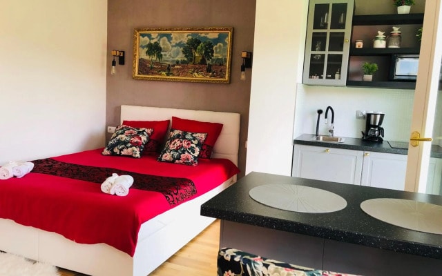 Muzeum Apartment