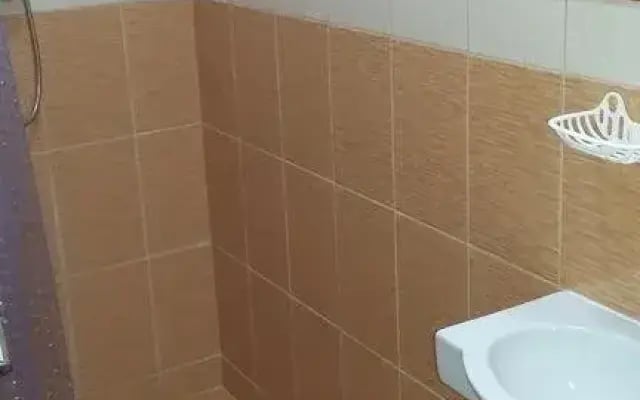 Vavilon 15