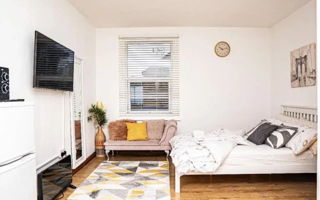 Luxury Studio Flat in London