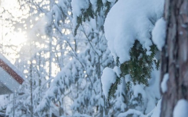 Villa Kurpitsa at MESSILA ski & camping