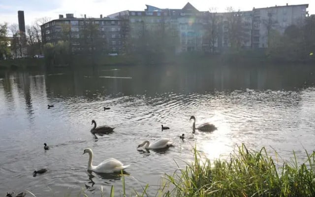Luxury Appartement CIty Center West