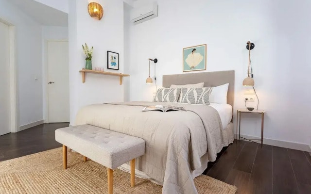 Luxury Apartment in Malaga Larios VI