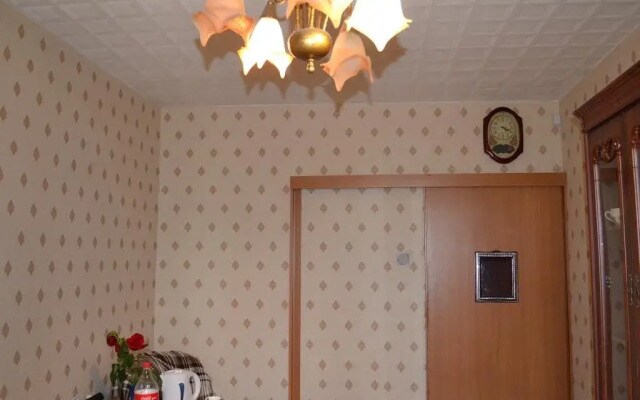 Hostel Vse Svoyi