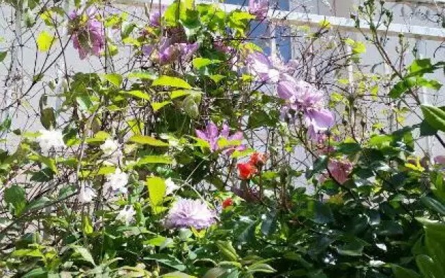 Chambre Avec Jardin Pierre Curie