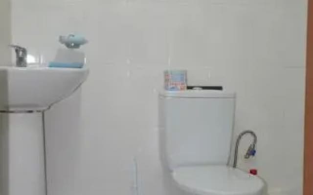 Guest house on Parkovaia 10