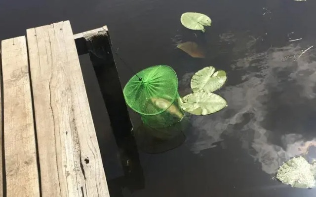 База Отдыха Берлога