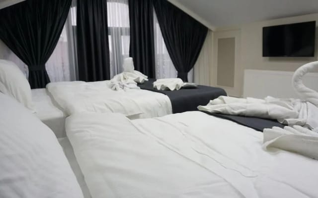 Mana Airport Hotel