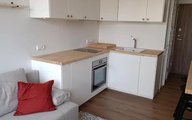 Stylish Studio in Central Vilnius