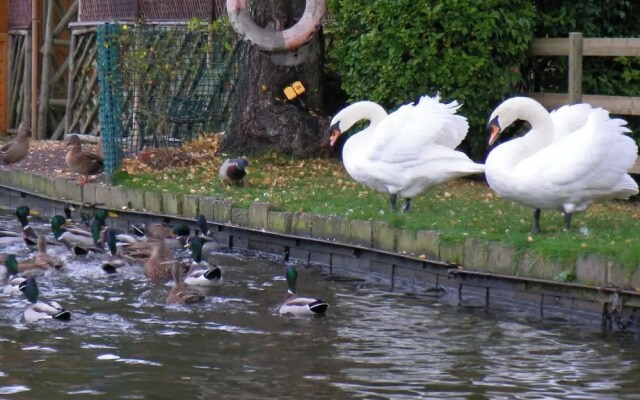 Stone - Boat - Sleeps 2 - Pet Friiendly- 85ws
