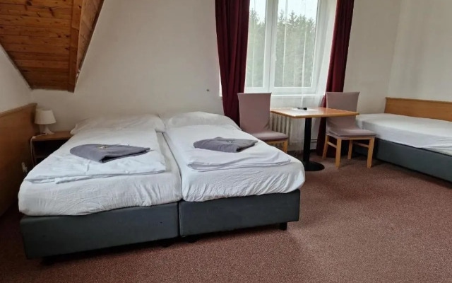 Hotel Harrachov Inn