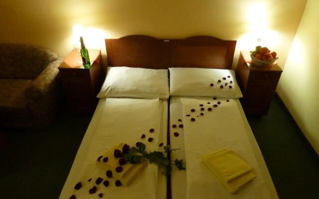 Hotel Korunni Princ