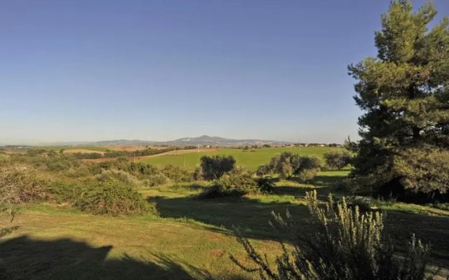 Tenuta Donna Olimpia