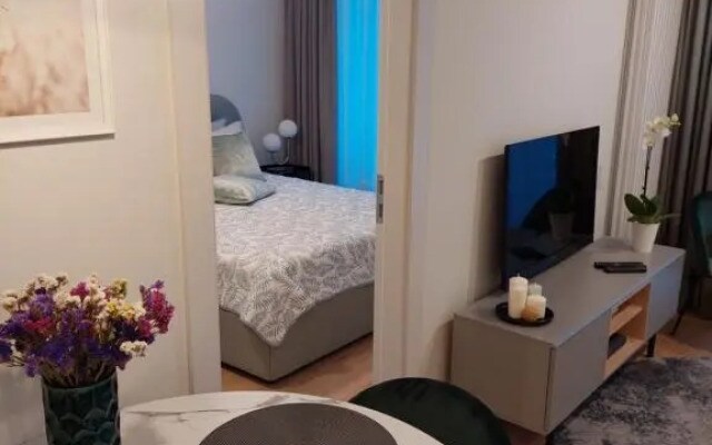 Albatross Apartment Romantic