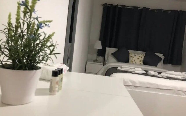 Stylish Entire Flat in King's Cross