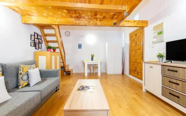 Duplex Lavapies 1BD