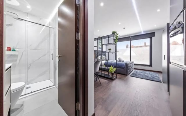 Serviced Modern Luxury Flat Near Central London