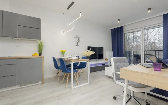 Dark Blue and Grey Apartment by Renters