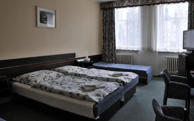 Hotel Labuť