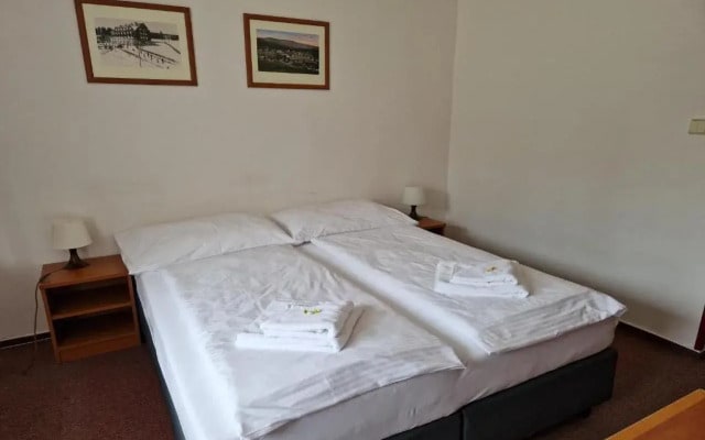Hotel Harrachov Inn