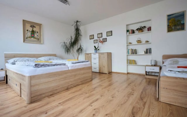 Apartment Formanka Liberec