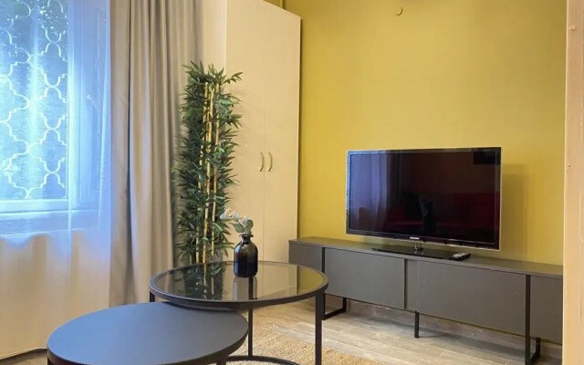 Lovely Home With Backyard in Cihangir