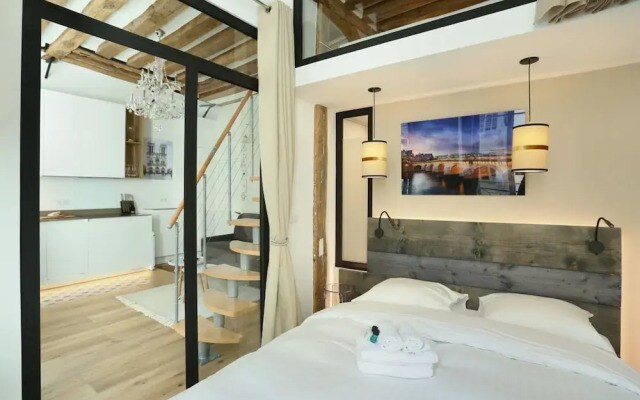 Superb Apartment Le Marais Center of Paris