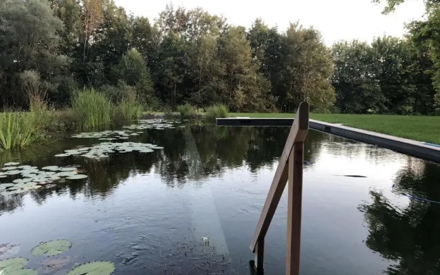 Riedhof 2