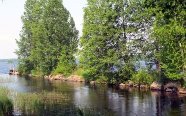 Kelo-kolo