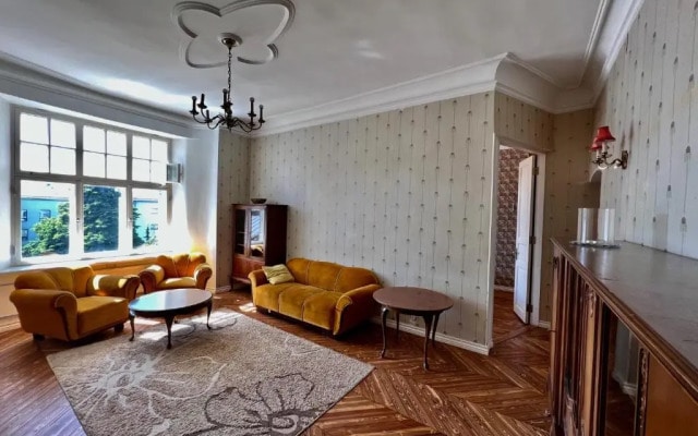 Lovely 3- room apartment in historical house - Vabriku 3