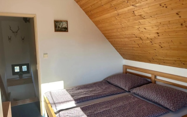 Vila 66 - Čistá v Krkonoších
