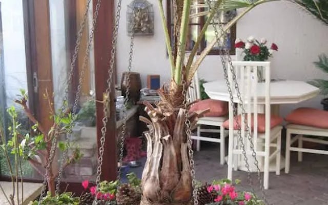 Woodshoot B&B