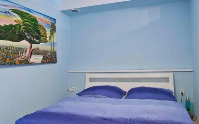 Apartment Vodni