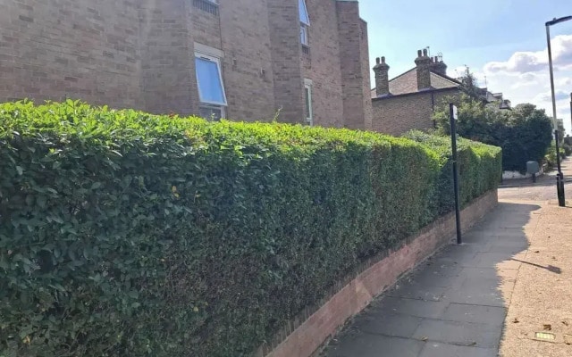 Apartment Sleeps 3 - Garden, Pets Welcome