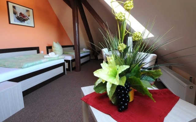 Hotel Darkov