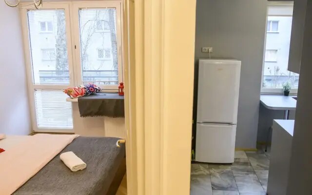 Golden Center Apartment